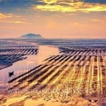 Avatar de Manuel Saavedra